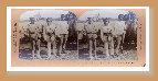 datu_piang003005.jpg