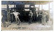 datu_piang017013.jpg