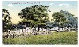 datu_piang017024.jpg