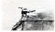 datu_piang017043.jpg