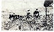 datu_piang017048.jpg